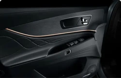 Jaecoo J8 electric door release